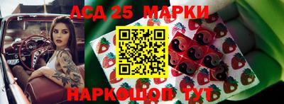 СК Краснодар