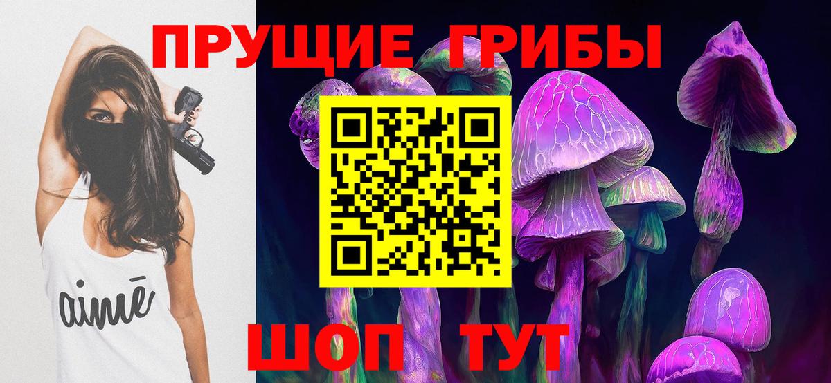 Галлюциногенные грибы MAGIC MUSHROOMS  сколько стоит  Красногорск  Вход с VPN 