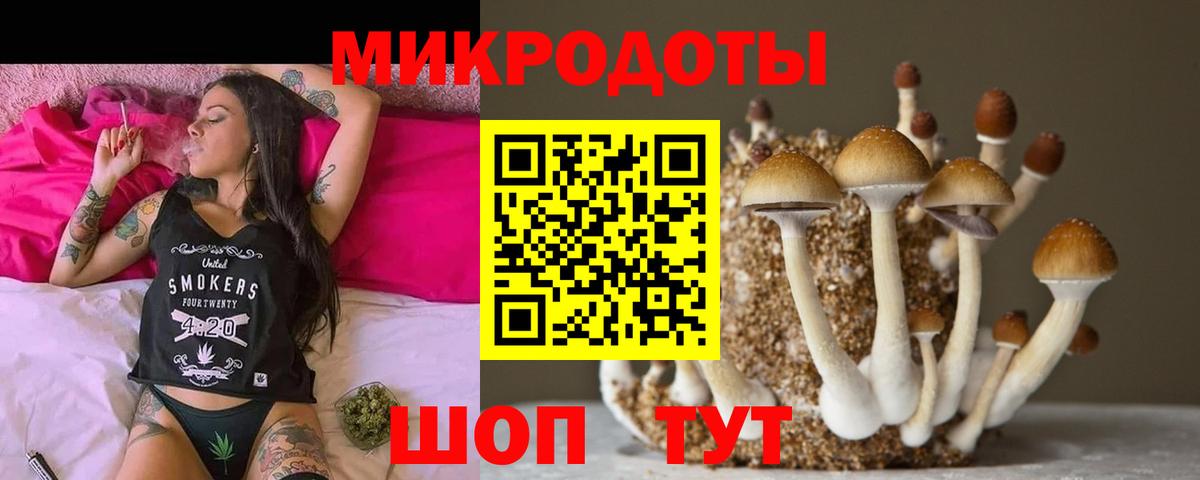 Галлюциногенные грибы мицелий Красногорск